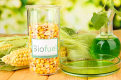 Robins biofuel availability